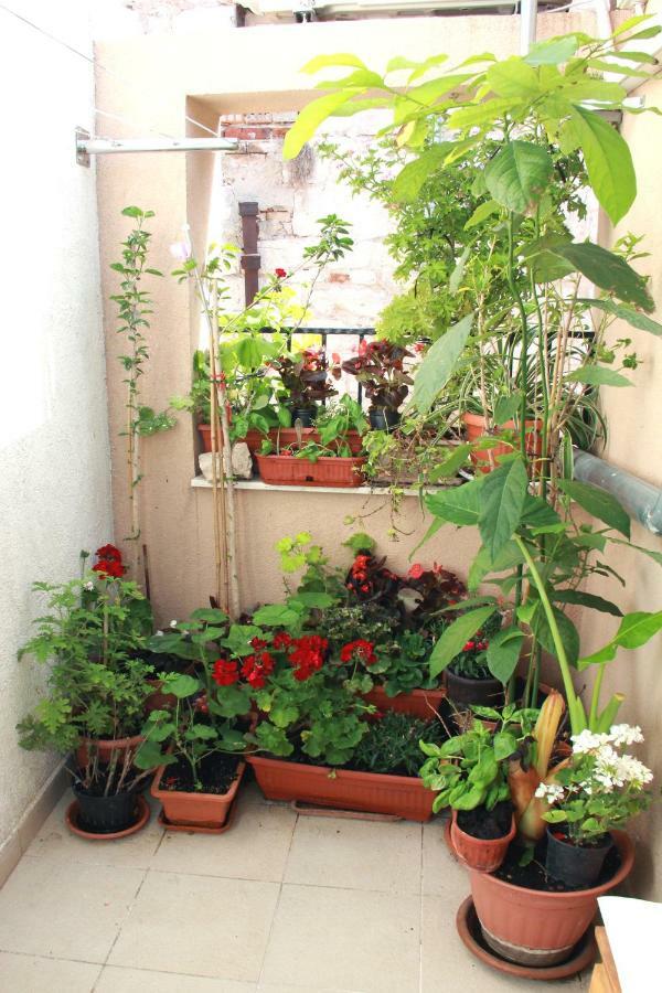 Apartment Bucevic شيبينيك المظهر الخارجي الصورة